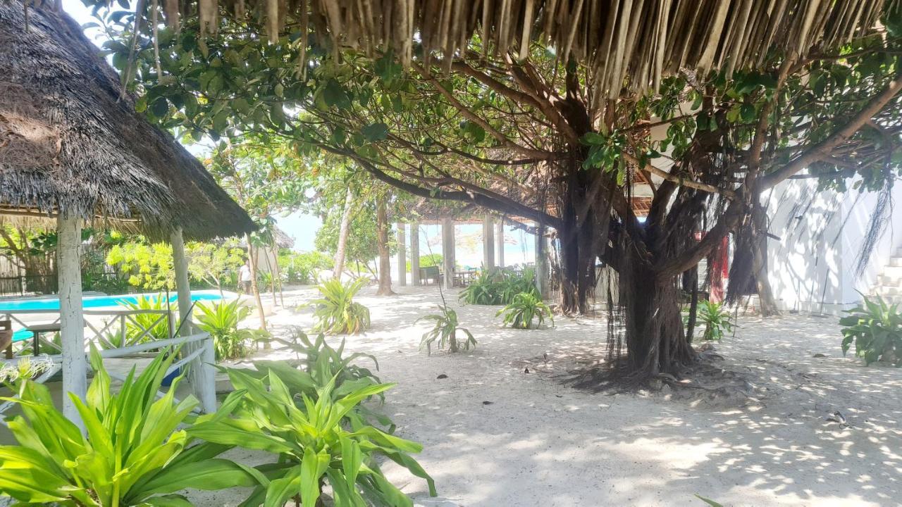 Garden Beach Bungalows Jambiani Jambiani  Ngoại thất bức ảnh