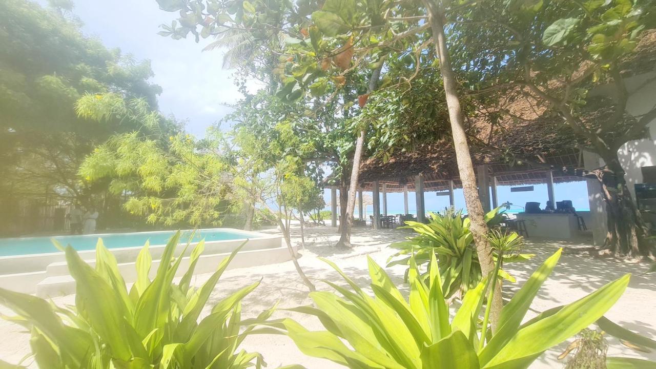 Garden Beach Bungalows Jambiani Jambiani  Ngoại thất bức ảnh